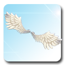Elegant White Wings